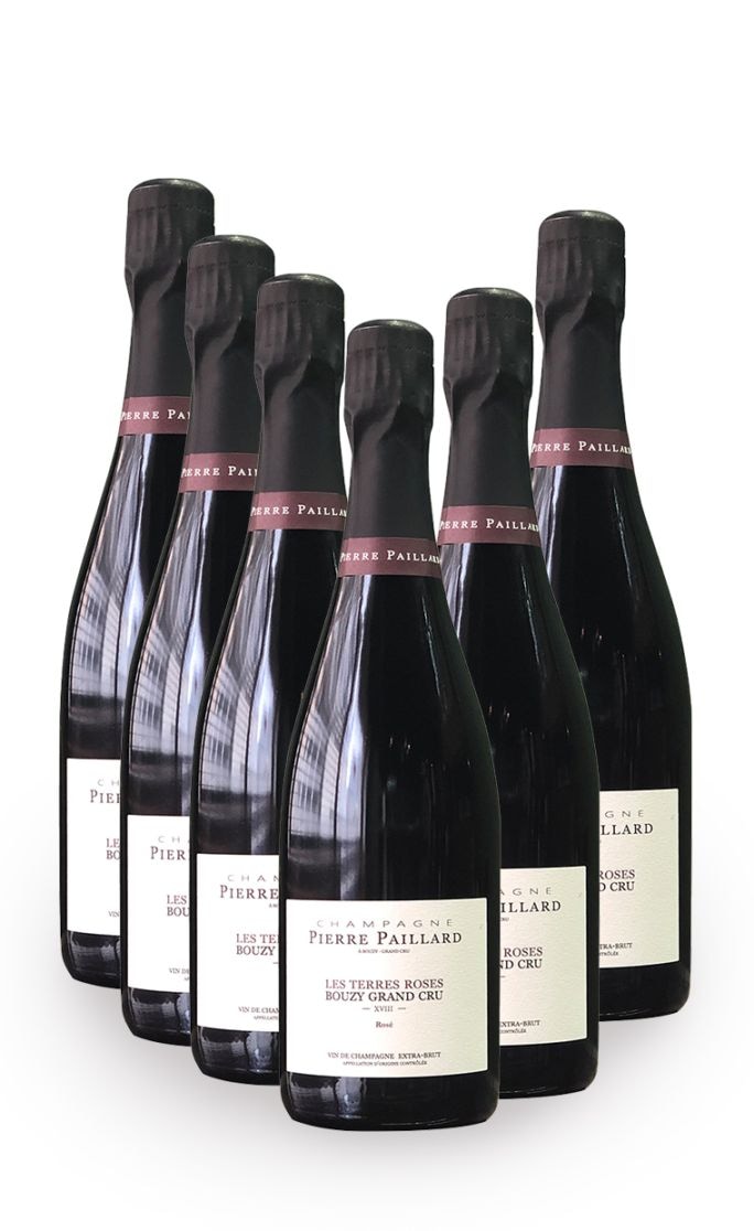 【6本まとめ買い特価】<br>ピエール・パイヤール　レ・テール・ロゼ　NV