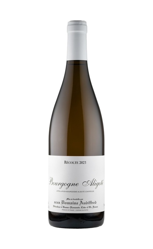 オーディフレッド　ブルゴーニュ　アリゴテ　ヴィエイユ・ヴィーニュ　2023