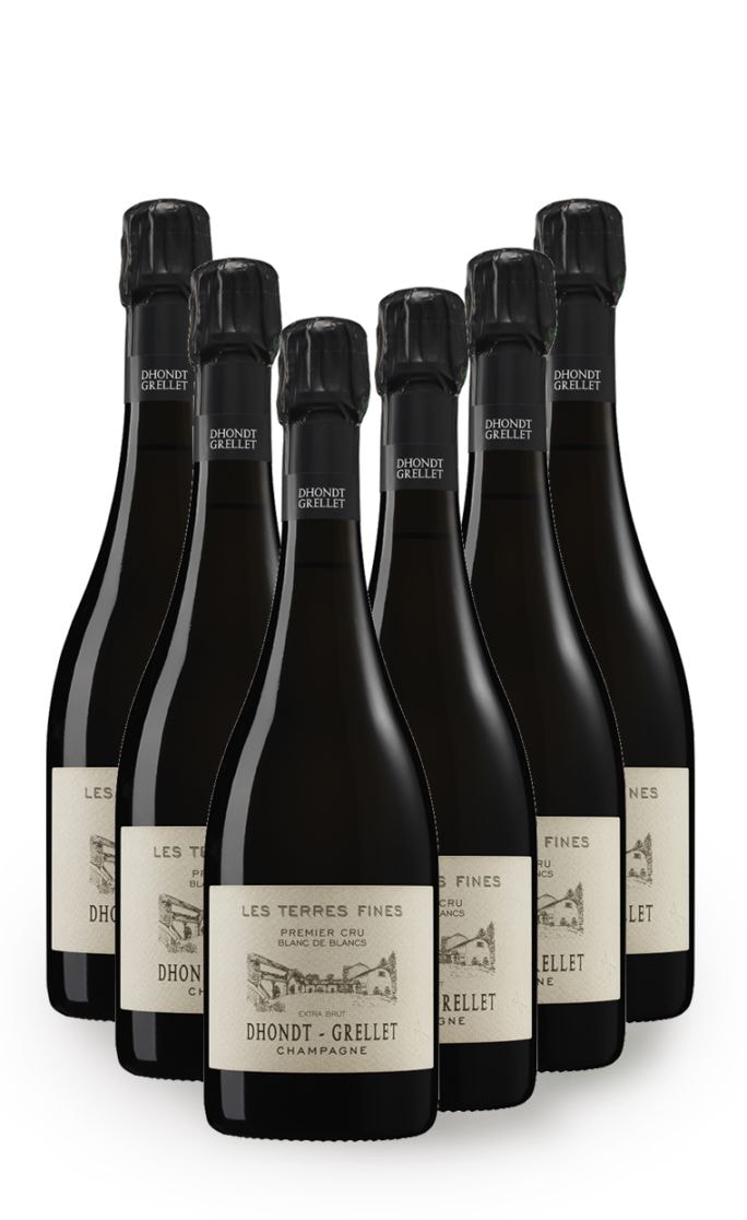 【6本まとめ買い特価】<br>ドント・グルレ　レ・テール・フィーヌ　ブラン・ド・ブラン　エクストラ・ブリュット　NV