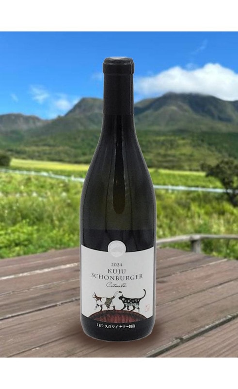 久住　ションベルガーCatwalk　2024