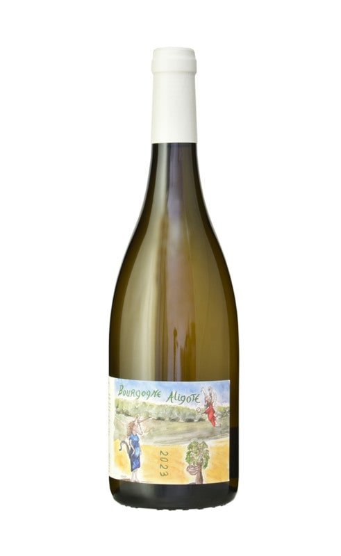 コント・ラフォン ムルソー シャルム 2018 | 産地から選ぶ,フランス