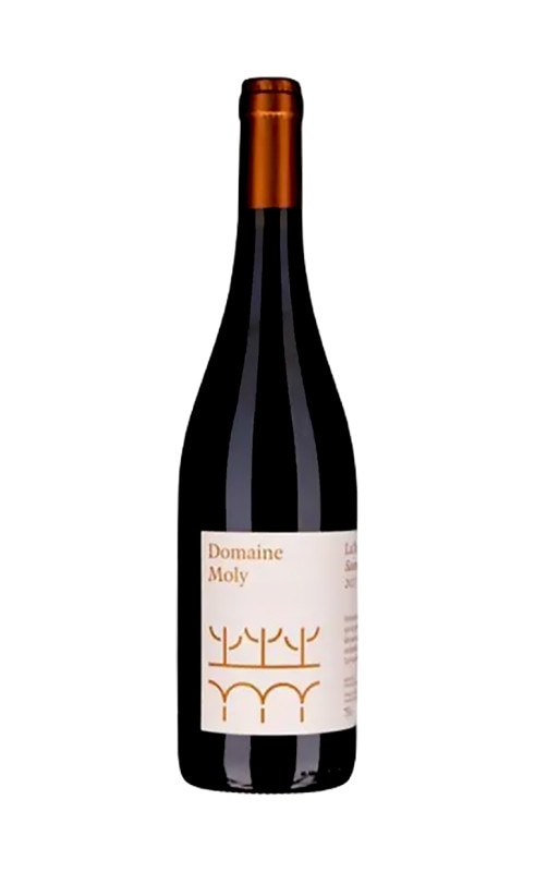 モリー　ソーミュール・シャンピニー　ルージュ・レ・シバリット　2023