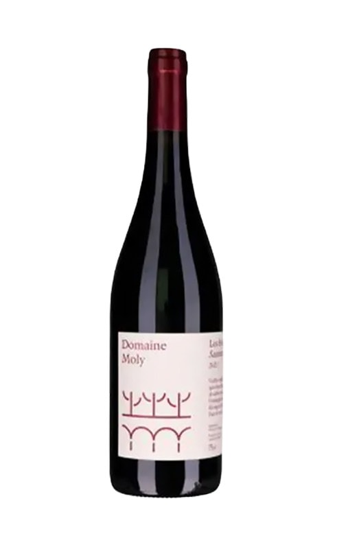 モリー　ソーミュール　ルージュ・ラ・ノマド　2023