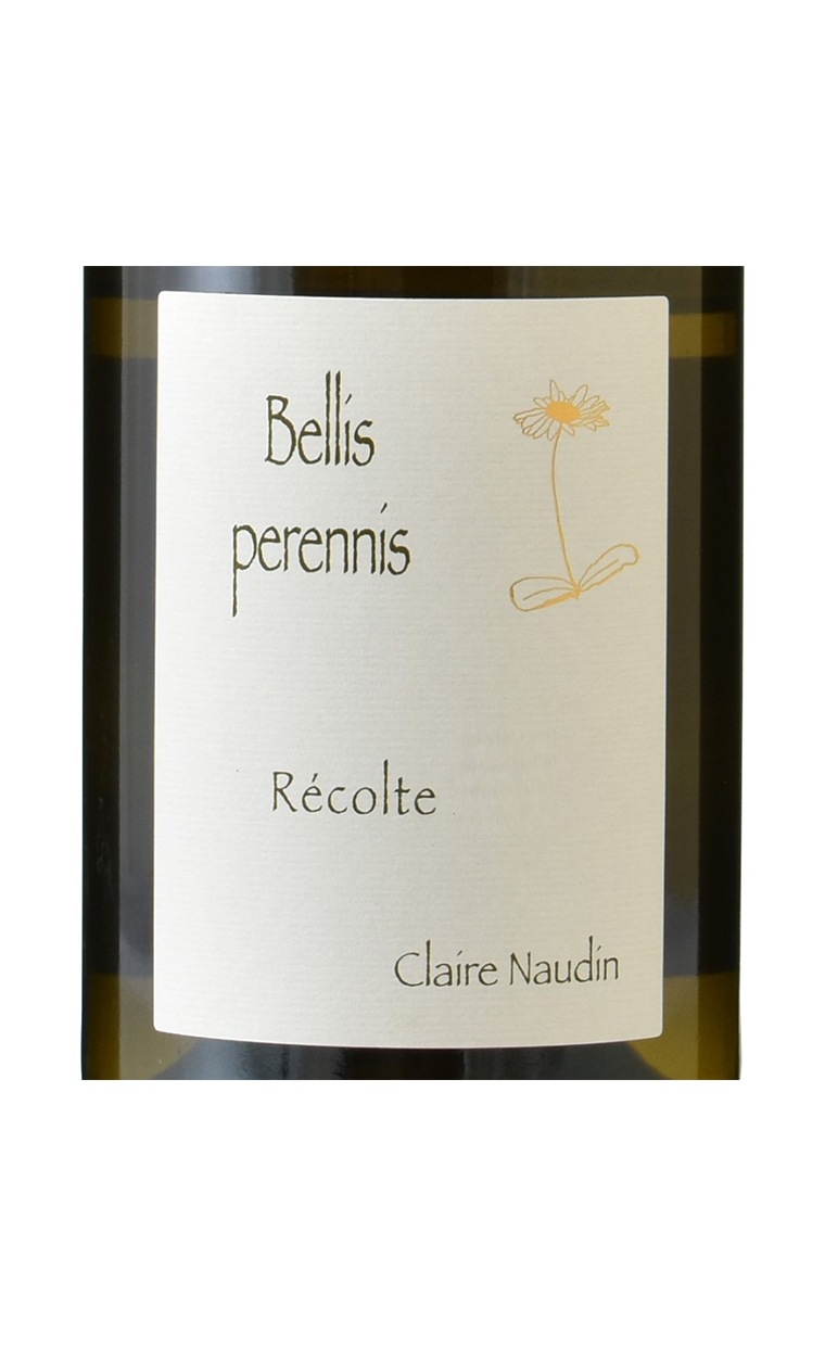 アンリ・ノーダン-フェラン　ブルゴーニュ　オート・コート・ド・ボーヌ　ベリース　ブラン　2021