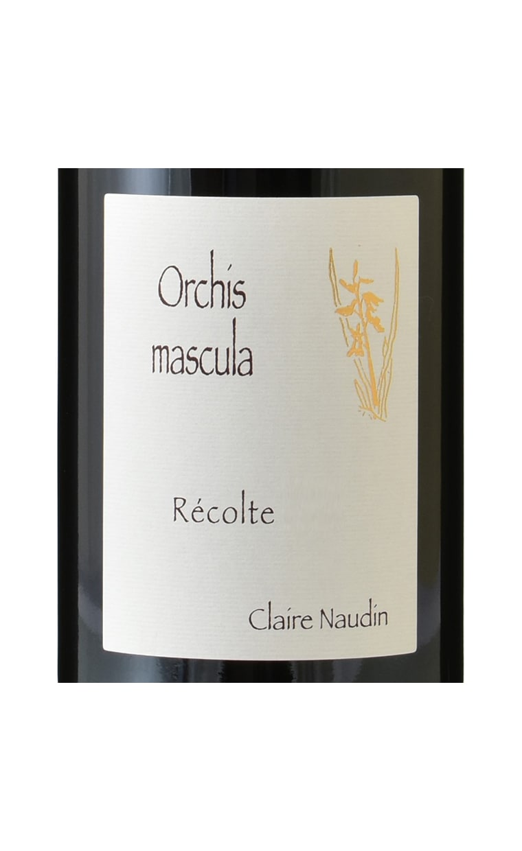 アンリ・ノーダン-フェラン　ブルゴーニュ　オート・コート・ド・ボーヌ　オルキス　ルージュ　2021