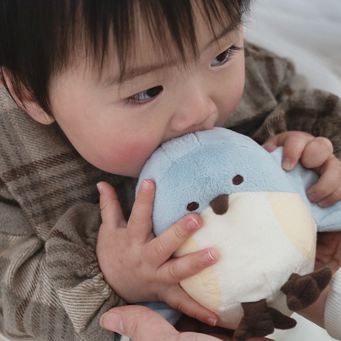 amanoppo あまのっぽ ぬいけっと ～ちいさな幸せ～ (ギフト対象