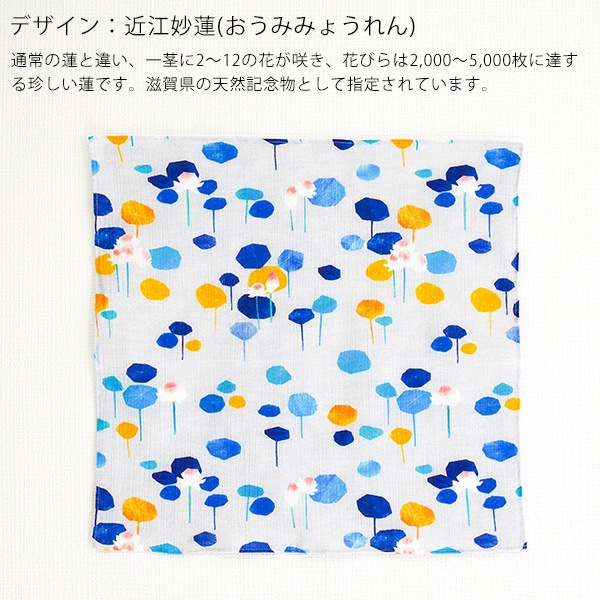 1/6fabric 綿のハンカチ 34×34cm (BOXギフト対象) | ブランド別