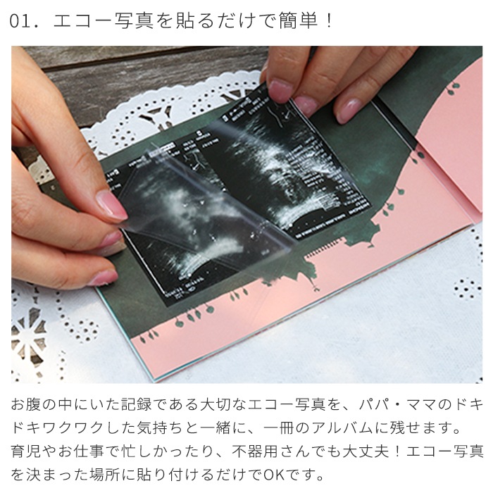 くまのがっこう エコー写真が収納できるアルバム 「10ツキ10カ