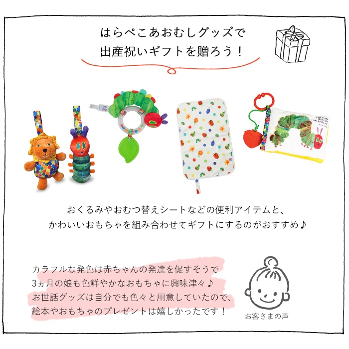 はらぺこあおむし ソフトフラッシュカード (BOXギフト対象) | 商品種別