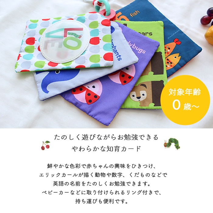 はらぺこあおむし ソフトフラッシュカード (BOXギフト対象) | 商品種別