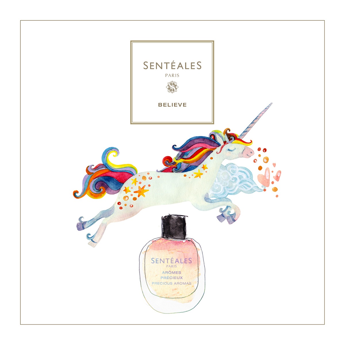 SENTEALES アローム プレシュー