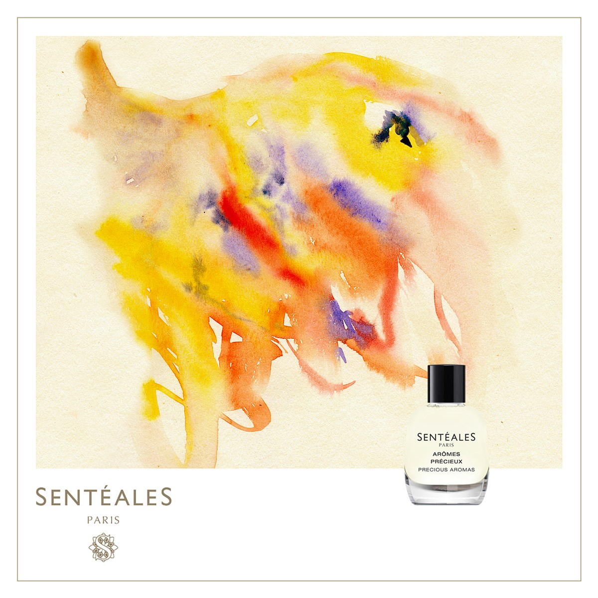 SENTEALES アローム プレシュー