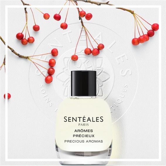 SENTEALES アローム プレシュー