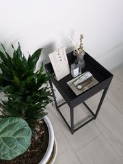 �ץ�󥿡�������� plants(������S:����30cm�߱���28cm)