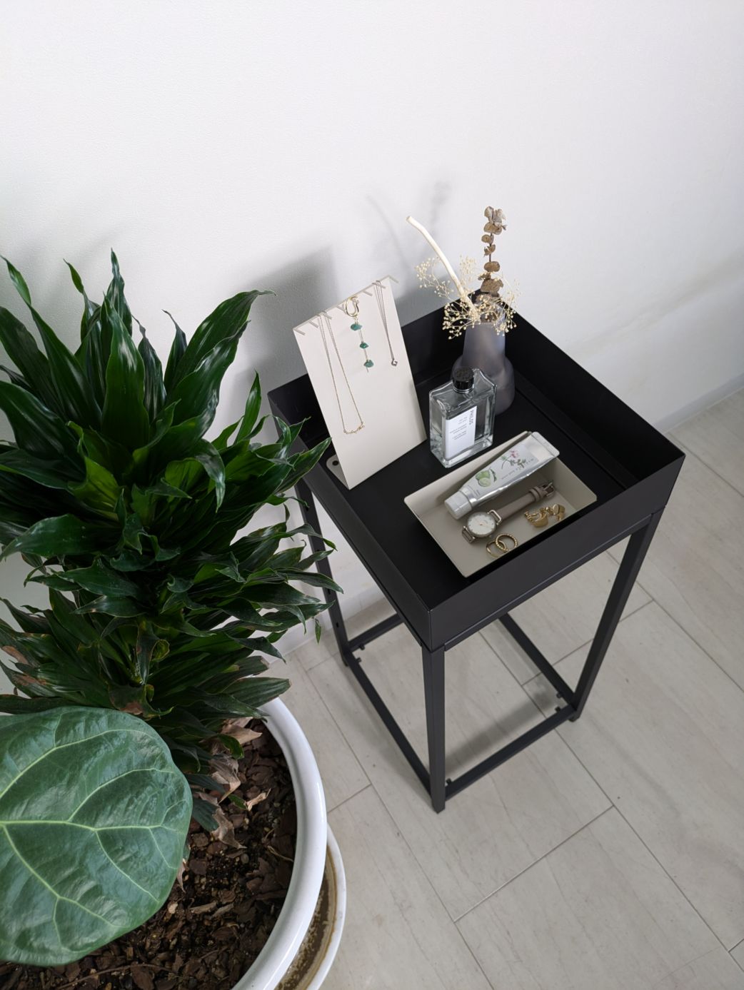 plants(������S:����30cm�߱���28cm)