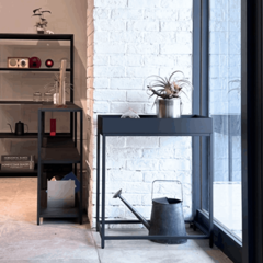 plants(������L:����60cm�߱���28cm)