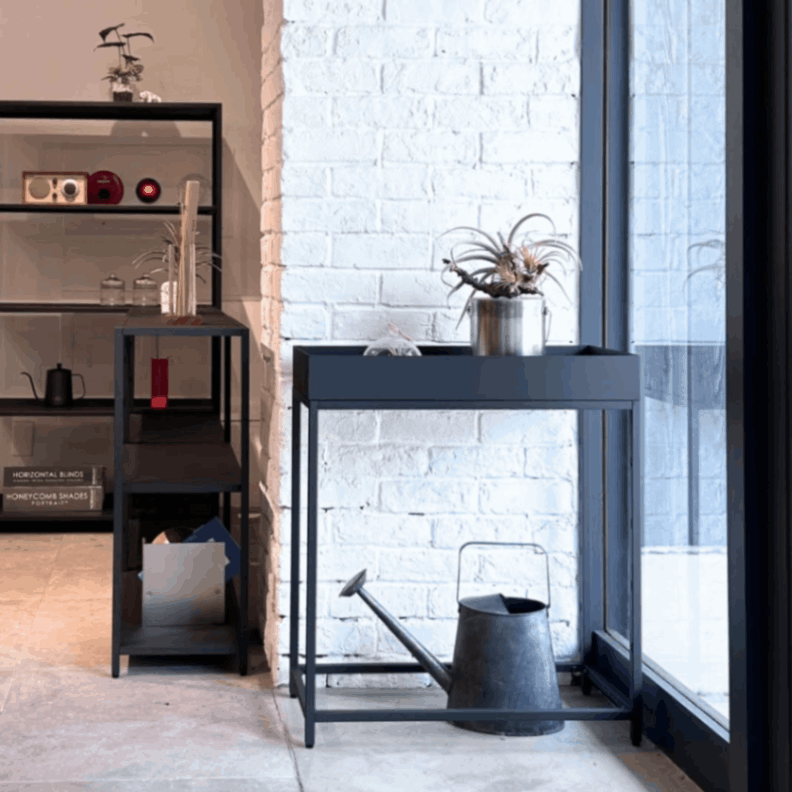 plants(L:60cm߱28cm)