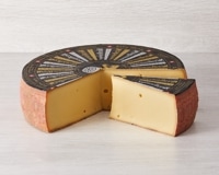 åڥĥ顼ȥMONS100祫å APPENZELLER Extra