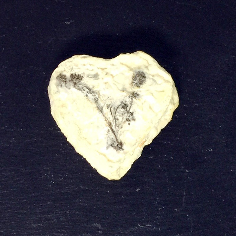 �����ɡ��٥른�����������ե���ߥ� COEUR DU BERGER ROVE FERMIER