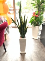 ��KA-02�ۥ��󥹥٥ꥢ��7��ѹ�ƫ��ȭ