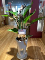 ��KA-04�ۥ��ȥ�������7����ƫ��