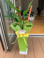 ��KA-05�ۥ��ȥ���ꥢ��7��ѹ�ƫ��ȭ