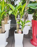 ��KA-06�۹�ʡ���ڡ�6��ץ饹���å�ȭ