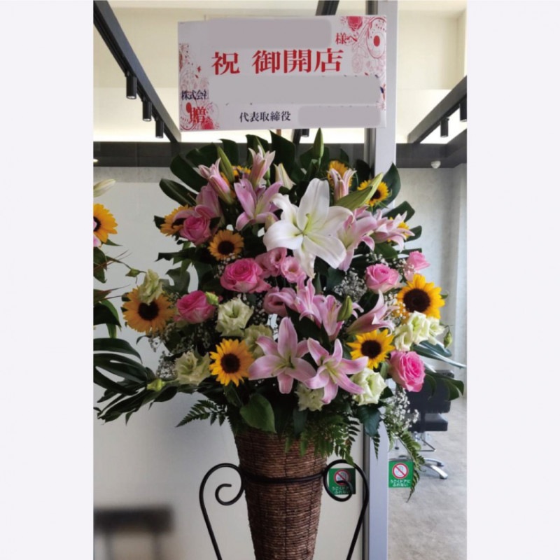 ��FST-06�ۥ��ȥҥޥ��Υ�����ɲ�