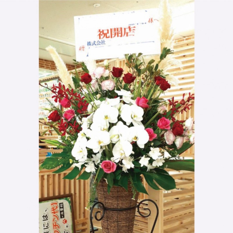 ��ĳ���ȥХ�Υ�����ɲ�