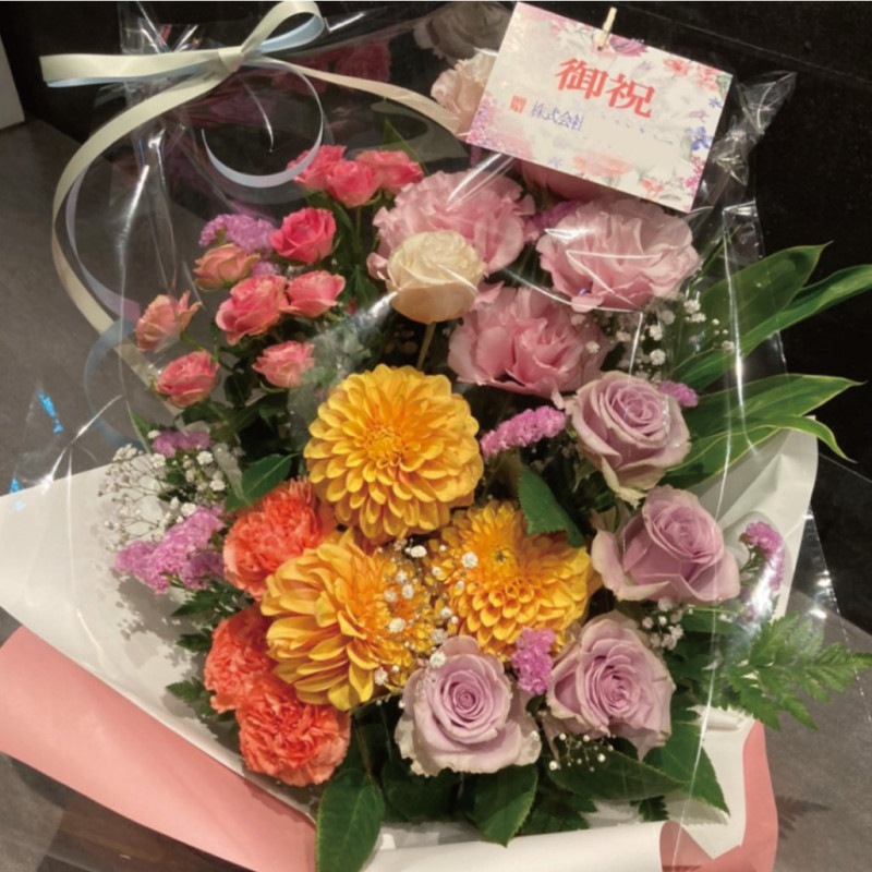 ARE-17ۥХȥ󥸥ꥢΥ