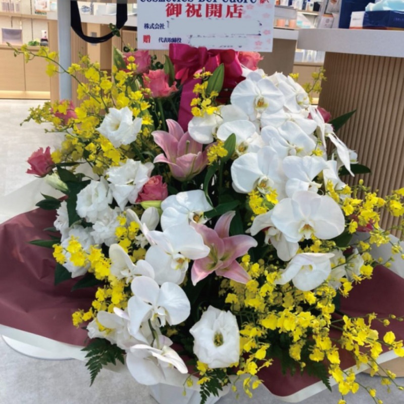 ��ARE-14�۸�ĳ���ȥ��󥷥�����Υ����