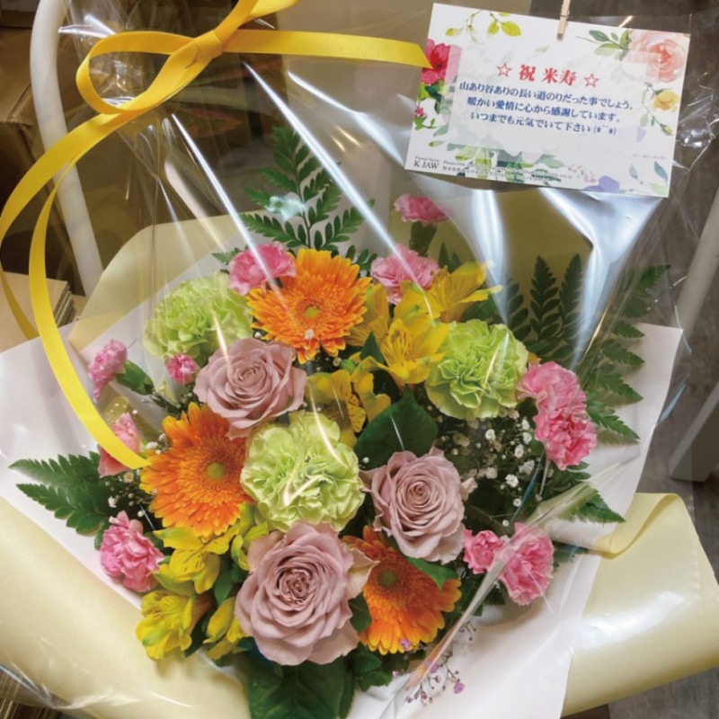 ARE-10ۥӥߥ󥫥顼Υ