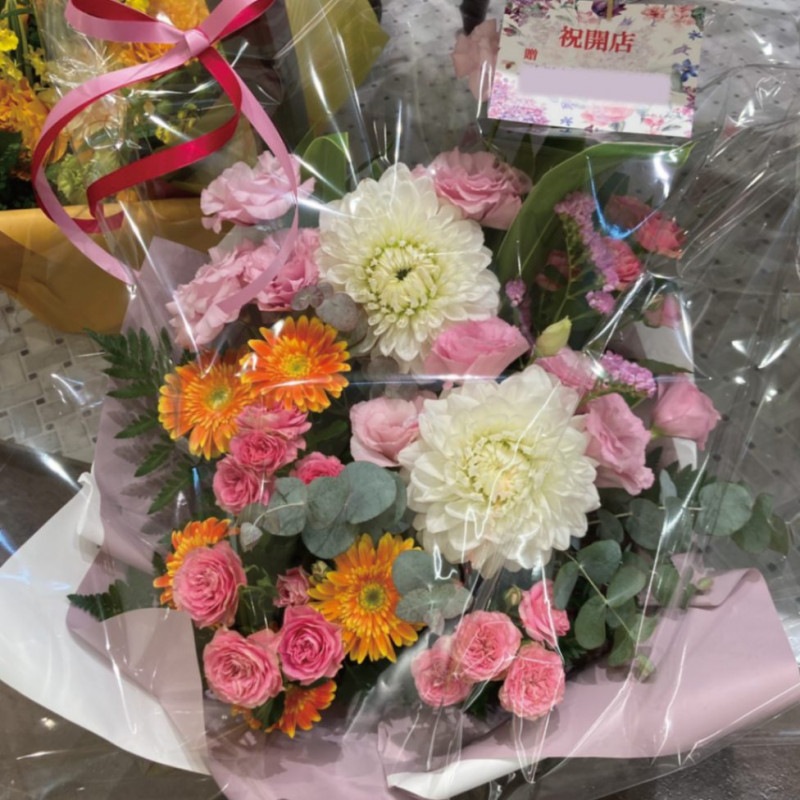 ARE-09ۥԥ󥯥ХȥꥢΥ