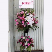 ��ĳ���ȥХ��2�ʼ��������