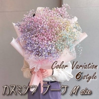 ��FB-02�ۢ�����̵���������ߥ����֡�����M��������