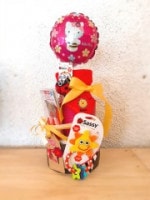 ��DC-1001�ۥ��ƥ��Τ���ĥ�����