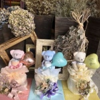 ��DC-401�ۥѥ��ƥ�٥��ɥ饤�ե��դ�