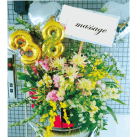 ��S-50�ۥʥ�С��Х롼�����ꥹ�����