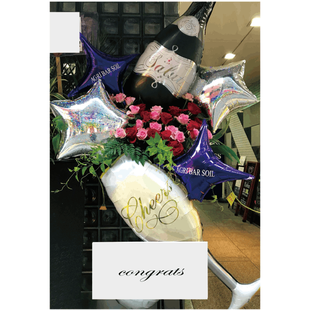 ��S-52�ۥӥå��Х롼���դ��������