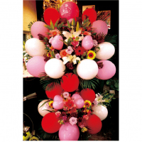 ��S-14��2�ʼ��Х롼�󥹥����