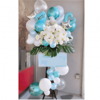 ��S-2321�۸�ĳ���Х롼�󥹥����