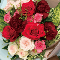 ��B-19�ۥХ�ȥ����͡������Υ֡���