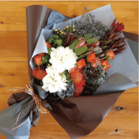 ��B-501�ۥܥ��˥���֡���