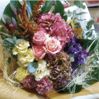 ��B-21�ۥ˥奢�󥹥��顼�Υ֡���