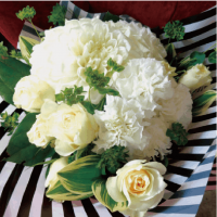 ��B-08�ۥ��ꥢ�Υ֡���