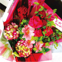 ��B-02�ۥ��������ȥХ�Υ֡���(�ַ�)