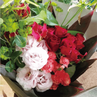 ��B-502�ۥХ�Υ��å��ʥ֡���