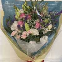 ��B-6021�ۥ֡���J