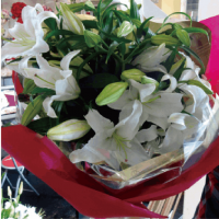 ��B-06�ۥ����֥�󥫤Υ֡���