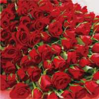 ��R-01�ۥХ�100�ܲ�«